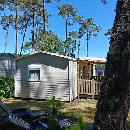 Mh 305 3 Et 1 Salle De Bain Dan 4 Etoiles