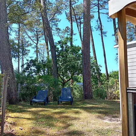 Campsite Mh 305 3 Et 1 Salle De Bain Dan 4 Etoiles Saint-Julien-en-Born