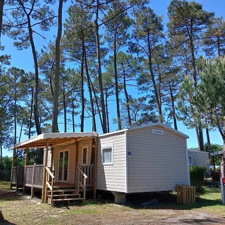 Mh 305 3 Et 1 Salle De Bain Dan 4 Etoiles * Saint-Julien-en-Born